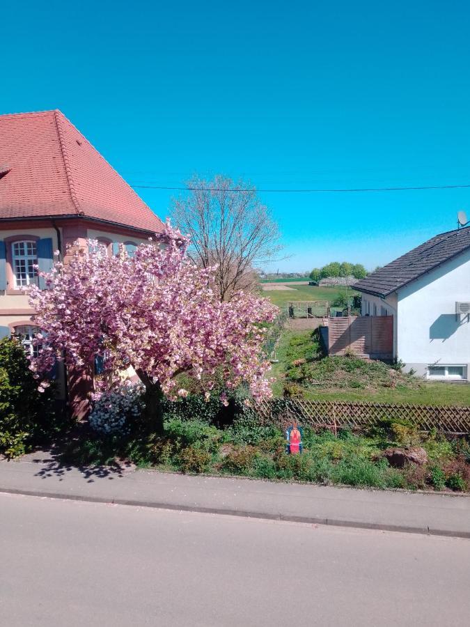 Gaestehaus Brunhilde Wittenweier Eksteriør bilde